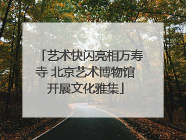 艺术快闪亮相万寿寺 北京艺术博物馆开展文化雅集