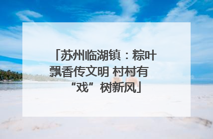 苏州临湖镇：粽叶飘香传文明 村村有“戏”树新风