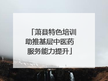 萧县特色培训助推基层中医药服务能力提升