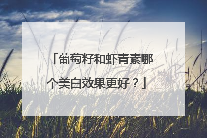 葡萄籽和虾青素哪个美白效果更好？