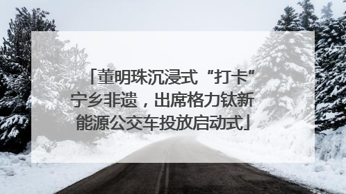董明珠沉浸式“打卡”宁乡非遗，出席格力钛新能源公交车投放启动式