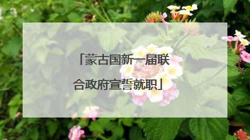 蒙古国新一届联合政府宣誓就职