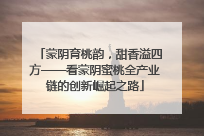 蒙阴育桃韵，甜香溢四方——看蒙阴蜜桃全产业链的创新崛起之路