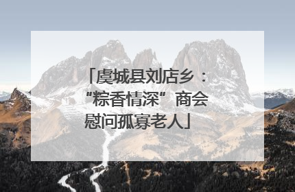 虞城县刘店乡：“粽香情深”商会慰问孤寡老人
