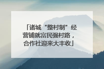 诸城“整村制”经营铺就富民强村路，合作社迎来大丰收