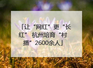 让“网红”更“长红” 杭州培育“村播”2600余人