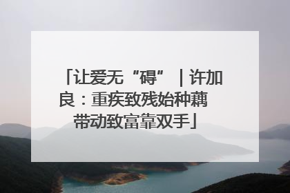 让爱无“碍”｜许加良：重疾致残始种藕 带动致富靠双手