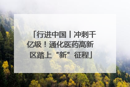 行进中国丨冲刺千亿级！通化医药高新区踏上“新”征程
