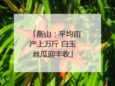 衡山：平均亩产上万斤 白玉丝瓜迎丰收