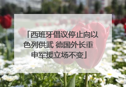 西班牙倡议停止向以色列供武 德国外长重申军援立场不变