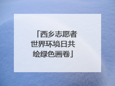 西乡志愿者世界环境日共绘绿色画卷