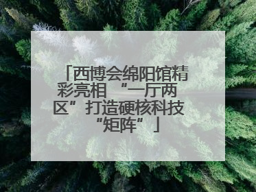 西博会绵阳馆精彩亮相 “一厅两区”打造硬核科技“矩阵”