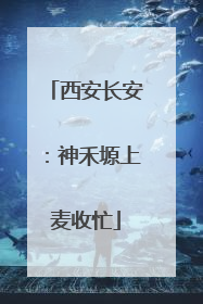 西安长安：神禾塬上麦收忙