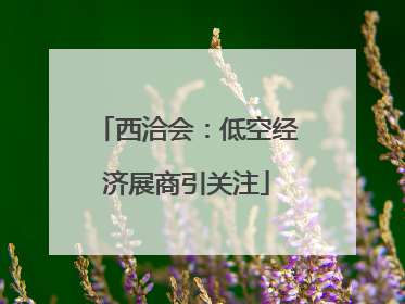 西洽会：低空经济展商引关注