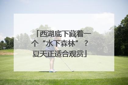 西湖底下藏着一个“水下森林”？夏天正适合观赏