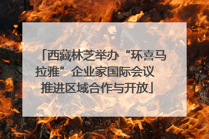 西藏林芝举办“环喜马拉雅”企业家国际会议 推进区域合作与开放