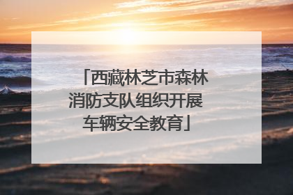 西藏林芝市森林消防支队组织开展车辆安全教育