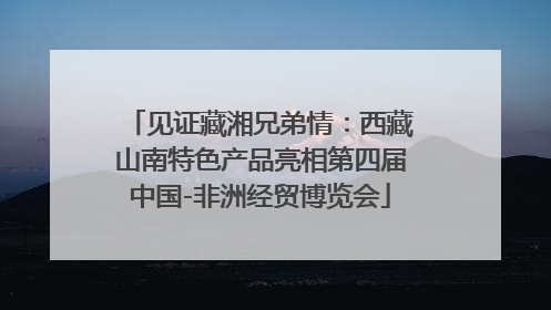 见证藏湘兄弟情：西藏山南特色产品亮相第四届中国-非洲经贸博览会