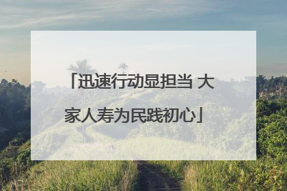 迅速行动显担当 大家人寿为民践初心