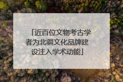 近百位文物考古学者为北疆文化品牌建设注入学术动能