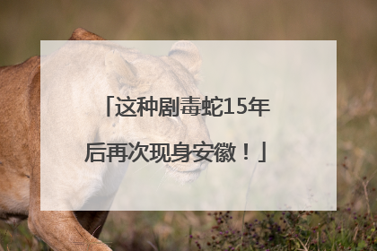 这种剧毒蛇15年后再次现身安徽！