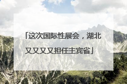 这次国际性展会，湖北又又又又担任主宾省
