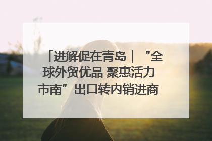 进解促在青岛｜“全球外贸优品 聚惠活力市南”出口转内销进商超专场活动启动
