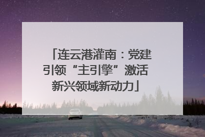 连云港灌南：党建引领“主引擎”激活新兴领域新动力