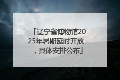 辽宁省博物馆2025年暑期延时开放，具体安排公布
