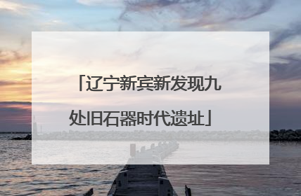 辽宁新宾新发现九处旧石器时代遗址