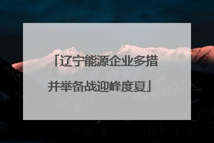 辽宁能源企业多措并举备战迎峰度夏