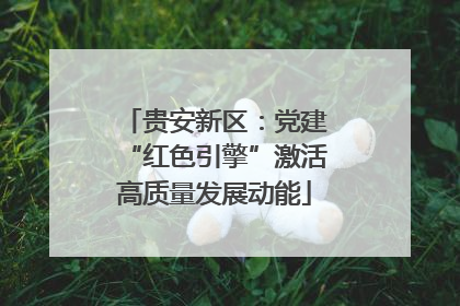 贵安新区：党建“红色引擎”激活高质量发展动能