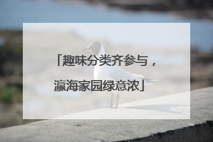 趣味分类齐参与，瀛海家园绿意浓