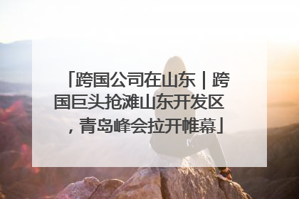 跨国公司在山东｜跨国巨头抢滩山东开发区，青岛峰会拉开帷幕