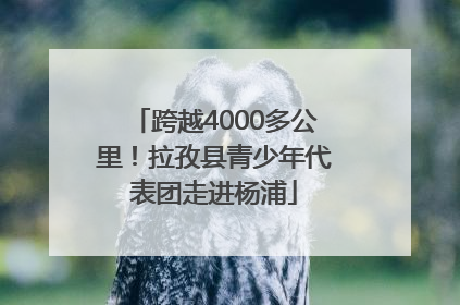 跨越4000多公里！拉孜县青少年代表团走进杨浦