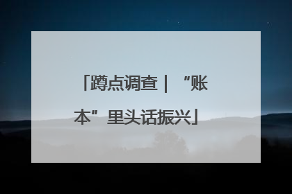 蹲点调查｜“账本”里头话振兴