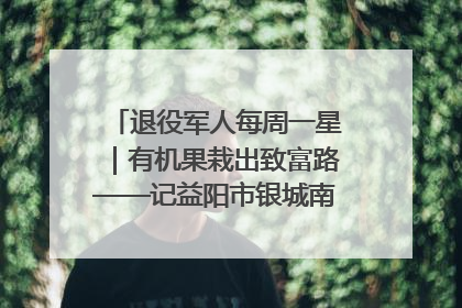 退役军人每周一星｜有机果栽出致富路——记益阳市银城南湖蔬果农民专业合作社总经理晏桂明