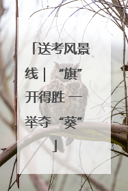 送考风景线｜“旗”开得胜 一举夺“葵”