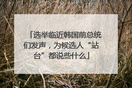 选举临近韩国前总统们发声，为候选人“站台”都说些什么