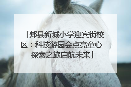 郏县新城小学迎宾街校区：科技游园会点亮童心 探索之旅启航未来