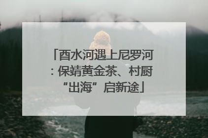 酉水河遇上尼罗河：保靖黄金茶、村厨“出海”启新途