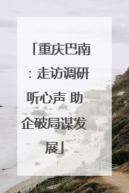 重庆巴南：走访调研听心声 助企破局谋发展