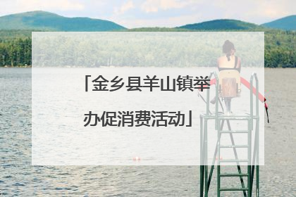 金乡县羊山镇举办促消费活动
