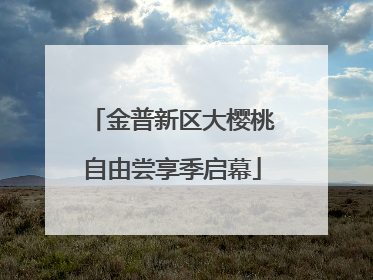 金普新区大樱桃自由尝享季启幕