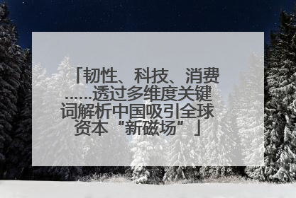 韧性、科技、消费……透过多维度关键词解析中国吸引全球资本“新磁场”