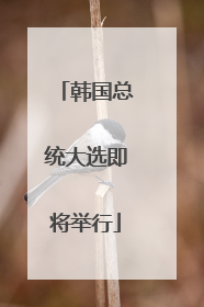 韩国总统大选即将举行
