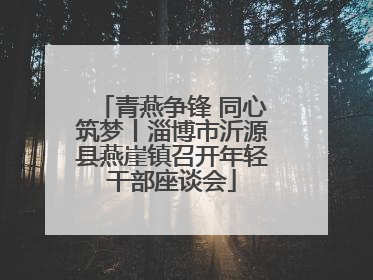 青燕争锋 同心筑梦丨淄博市沂源县燕崖镇召开年轻干部座谈会