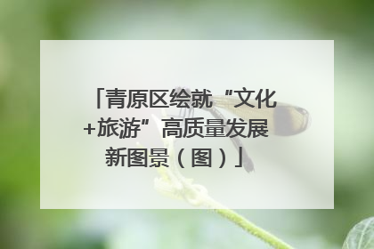青原区绘就“文化+旅游”高质量发展新图景（图）