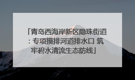 青岛西海岸新区隐珠街道：专项摸排河道排水口 筑牢碧水清流生态防线