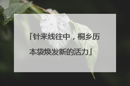针来线往中，桐乡历本袋焕发新的活力